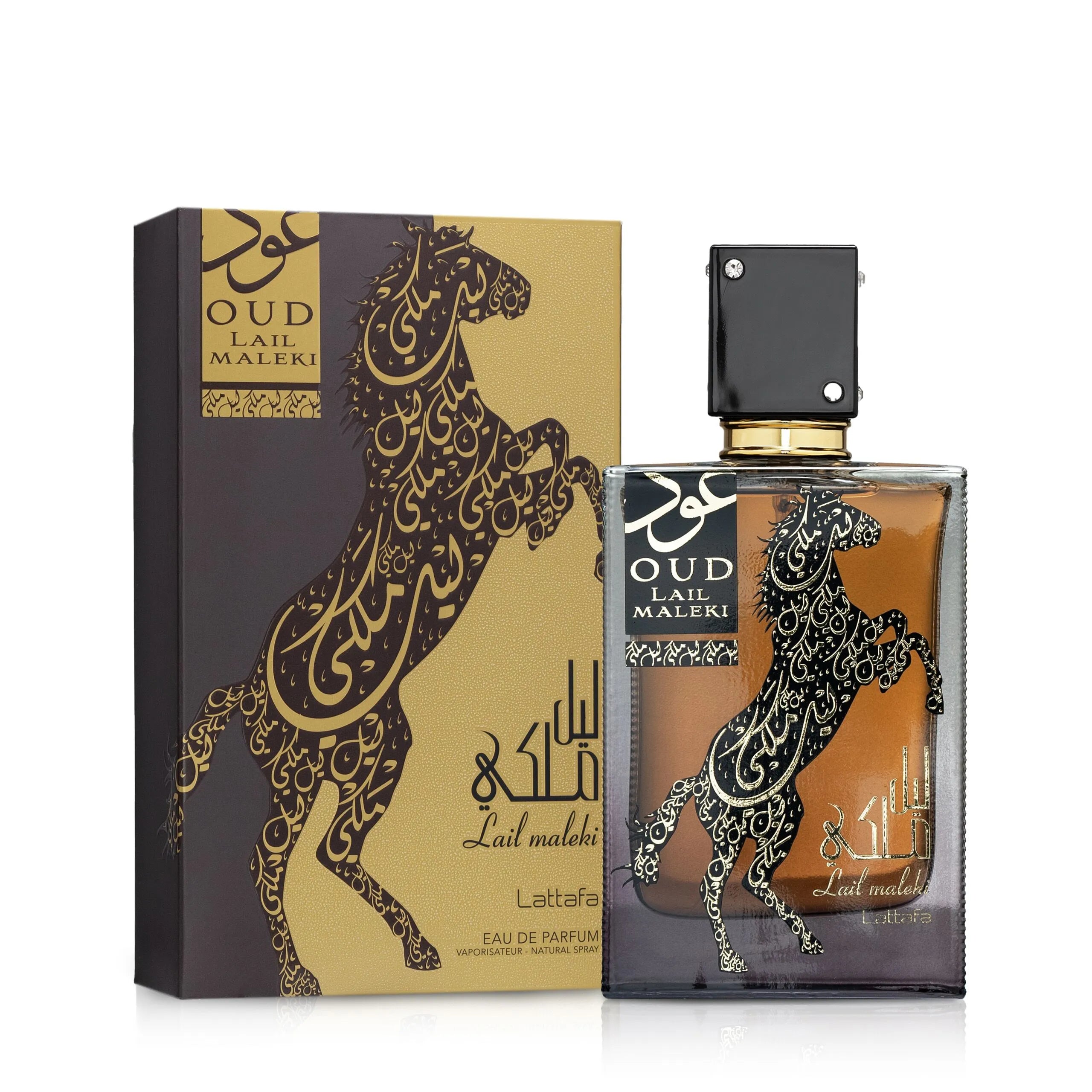 LATTAFA OUD LAIL MALEKI 100ML EDP